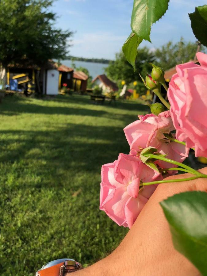 Angelinin Konak Неготін Екстер'єр фото